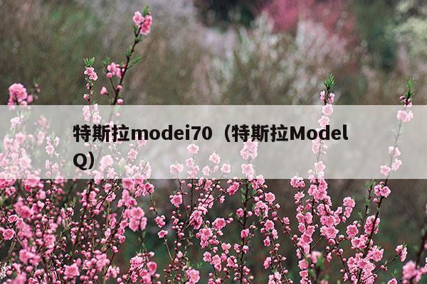 特斯拉model3曝光