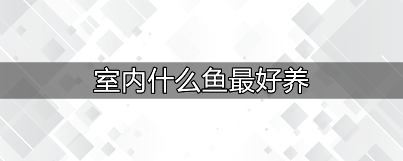 室内三文鱼养殖要多大场地