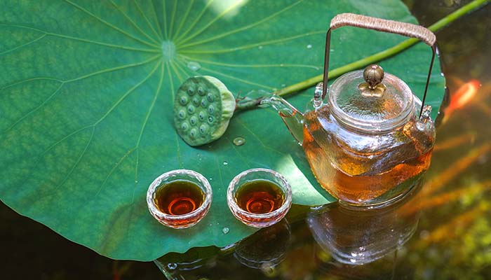 茶叶水可以直接浇绿萝吗