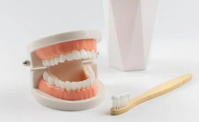 横向刷牙会导致牙龈萎缩吗