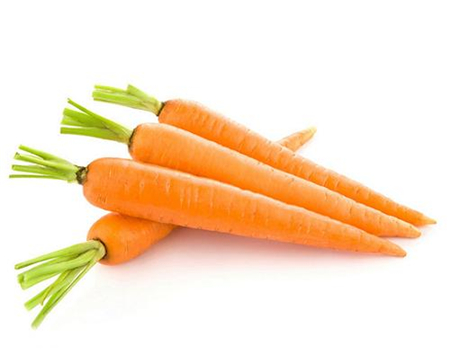 胡萝卜的繁殖方法有几种