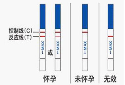 不用试纸 自查怀孕（没有试纸，靠自己检验有没有怀孕）