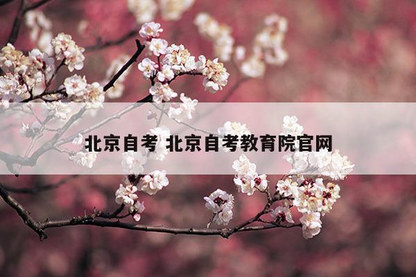 北京自考北京自考教育院官网