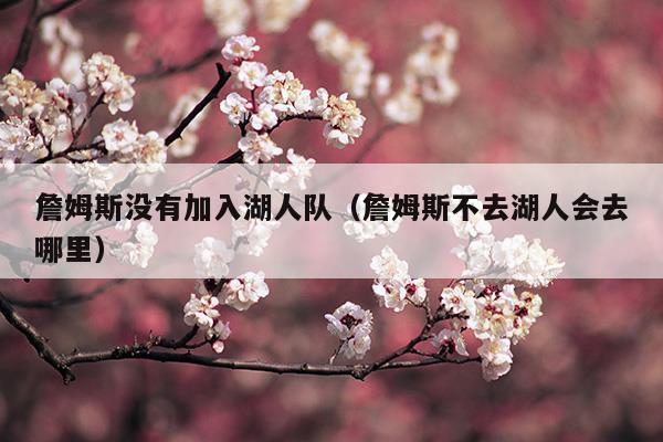 詹姆斯为什么加入湖人队