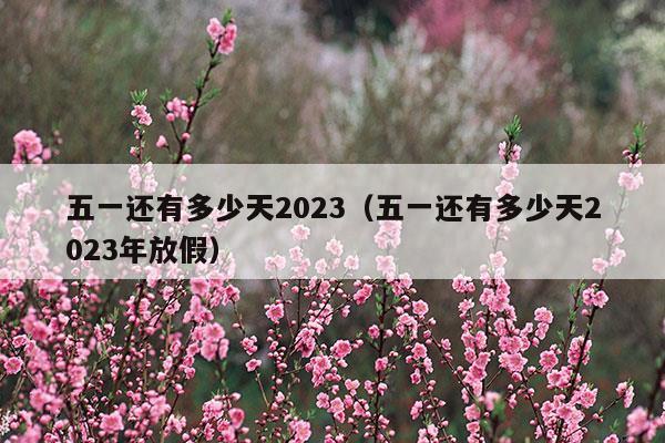 五一还有多少天2024年放假