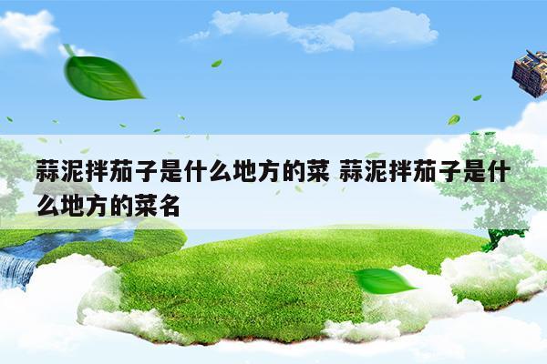 蒜泥拌茄子是什么地方的菜蒜泥拌茄子是什么地方的菜名