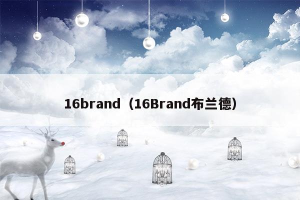 16brand口红