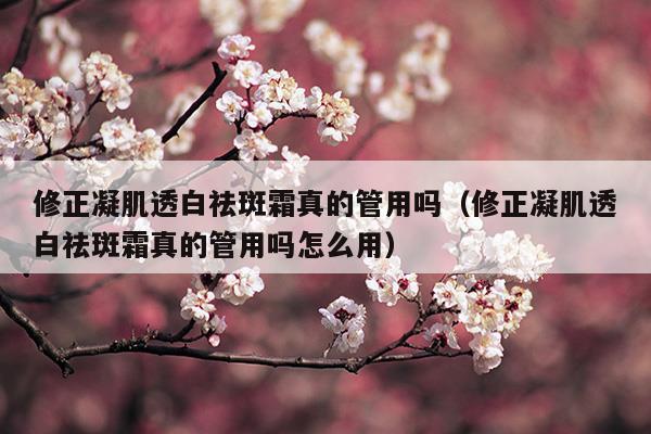 修正凝肌透白祛斑霜真的功效