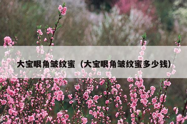 大宝眼角皱纹蜜适合多大年纪