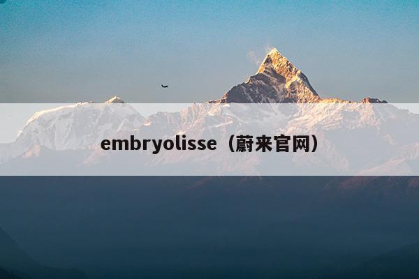 embryolisse授权查询