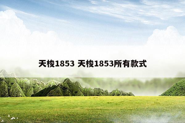 天梭表1853各型号图