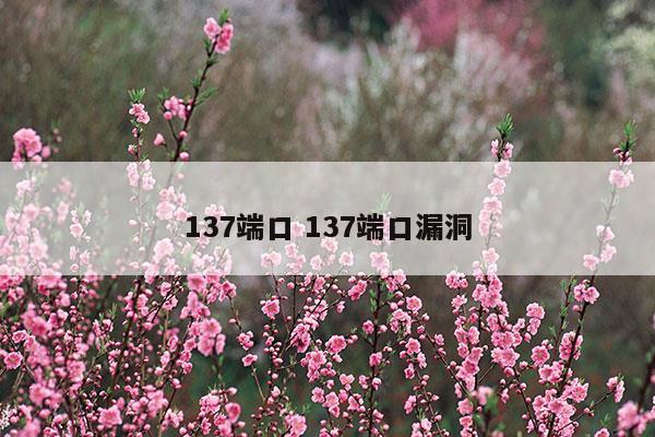 139端口漏洞利用