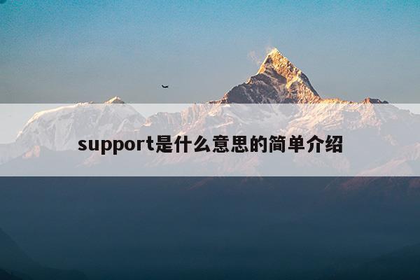 support是什么意思的简单介绍