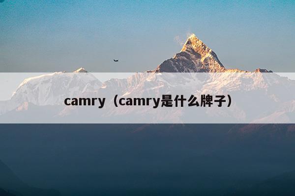 camry是丰田什么车