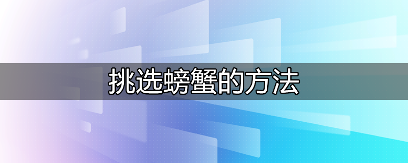 怎么挑选螃蟹肥不肥