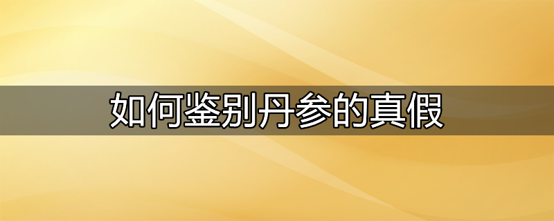 如何鉴别丹参的真假图片