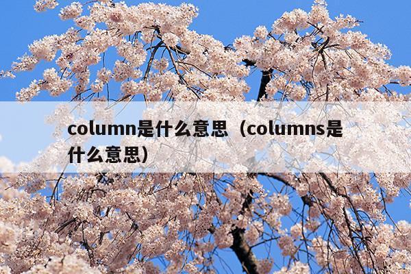 columns是什么意思