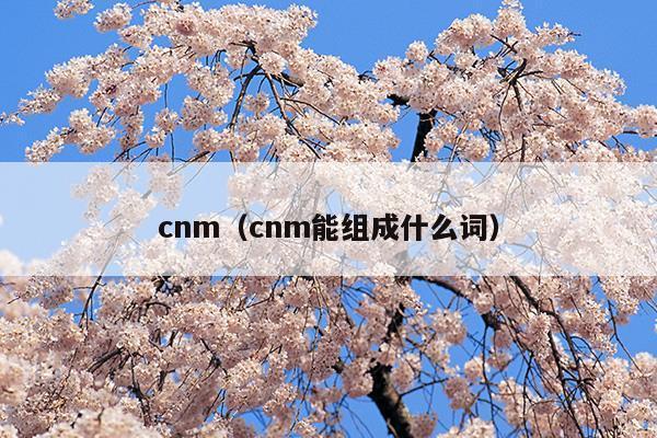 cnma与cma的区别