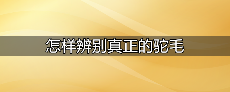 怎样辨别真正的粮食酒