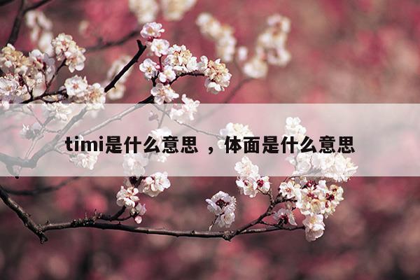 timi中是什么意思