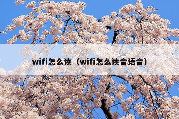 wifi怎么读英语