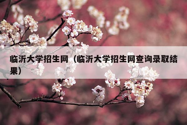 临沂大学招生网2023