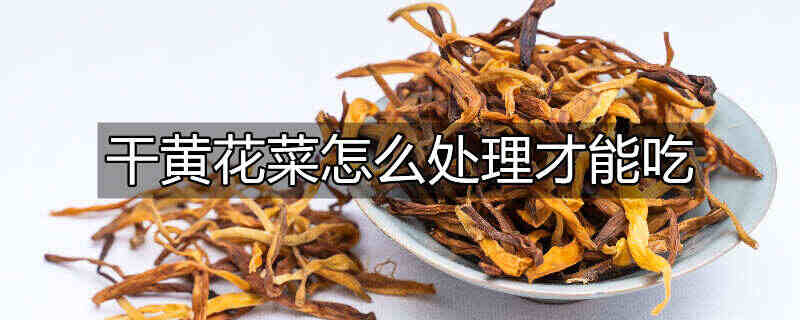 干黄花菜怎么食用方法