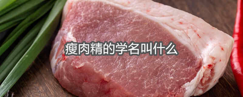 瘦肉精的学名叫啥