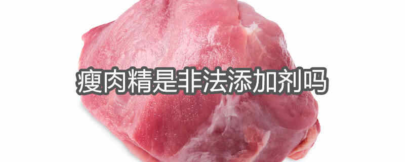 瘦肉精属不属于正规的食品添加剂