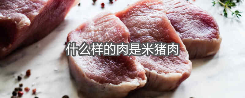 米猪肉啥样的