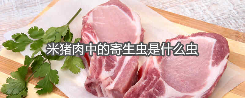 米猪肉是由什么寄生虫引起的