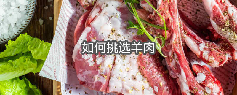 如何挑选羊肉才好吃