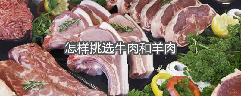 羊肉和牛肉哪个热量高