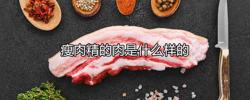 精肉和瘦肉怎么区别