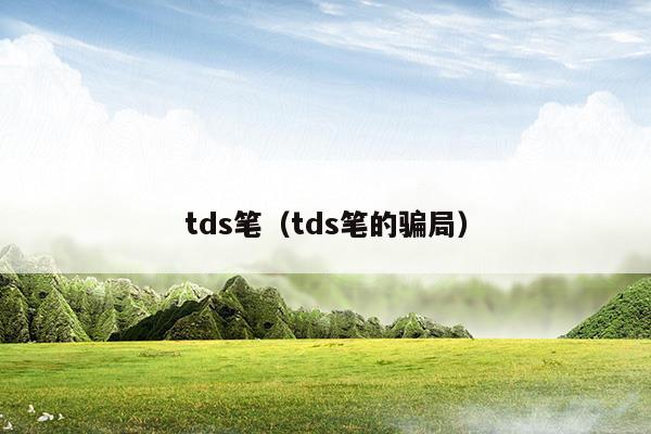 tds笔的骗局