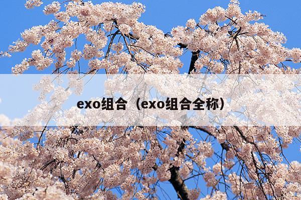 exo组合成员简介