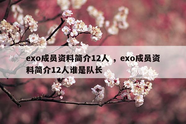 exo成员资料简介12人exo成员资料简介12人谁是队长