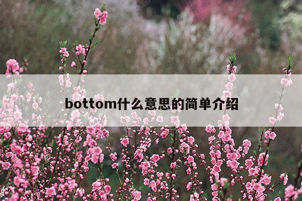 bottom什么意思的简单介绍