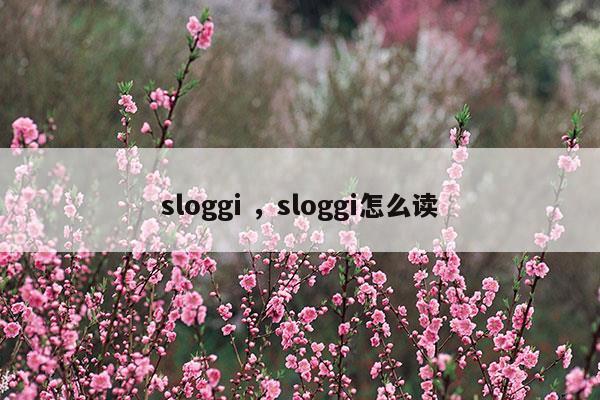 sloggi怎么念