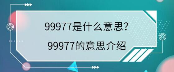 99977的含义是什么意思