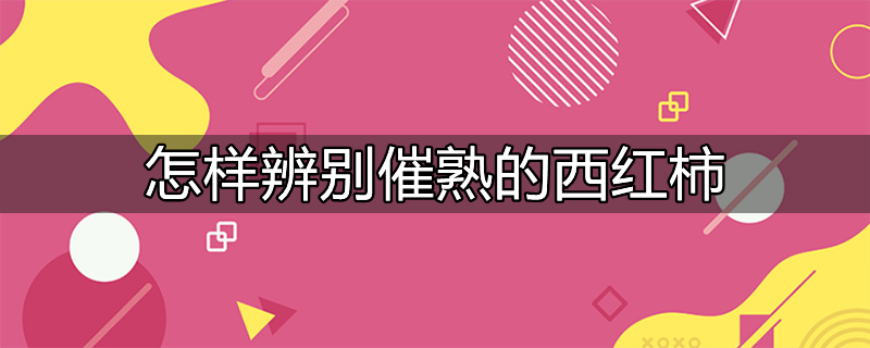 怎么辨别西红柿是催熟还是成熟