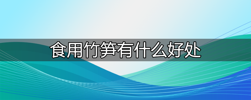 竹笋食用方法