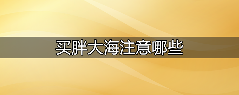 买胖大海怎么挑选