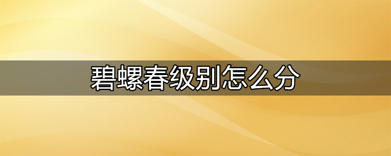 正宗洞庭碧螺春有几个级别