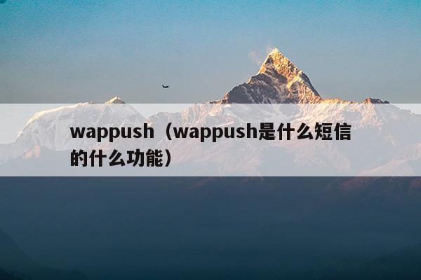 wappush是什么意思可以关掉吗