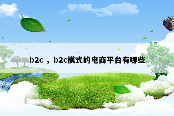 b2c模式的电商网站有哪些