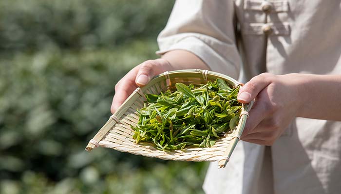 潮州三杯茶盘