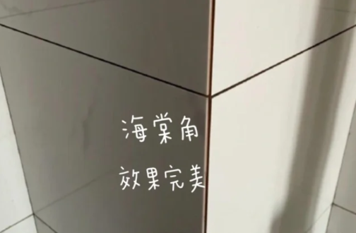 海棠角是什么造型