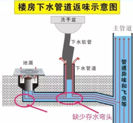 卫生间去臭味