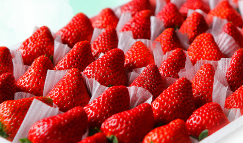 丹东草莓上市时间